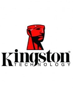 Hosting Windows kingston