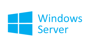 Windows Server Hosting